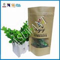 Powder Kraft Paper Bag With Window 1