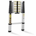 3.2 Mtrs Telescopic Ladder With 5mm Cushion 1