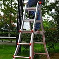 Heavy Duty Little Giant Ladder 1