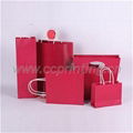 Gift Paper Bag 1