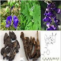 Aconitum Root