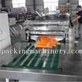 Zipper Seal With Shaped Bag Making Machine