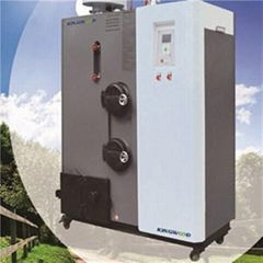 Biomass Steam Generator