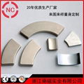 Special Shape NdFeB Magnet 1