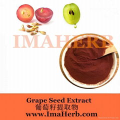 Grape Seed Extract OPC 