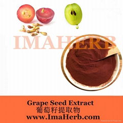 Grape Seed Extract OPC