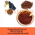 Grape Seed Extract OPC  4