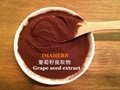 Grape Seed Extract OPC  5