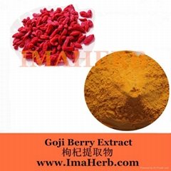 Wolfberry Extract- goji berry extract