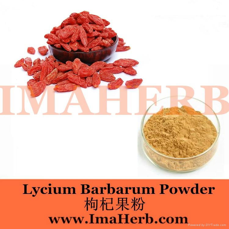 Wolfberry Extract- goji berry extract 2