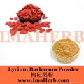 Wolfberry Extract- goji berry extract 2