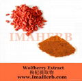 Wolfberry Extract- goji berry extract 3