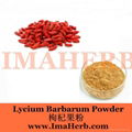 Wolfberry Extract- goji berry extract 4