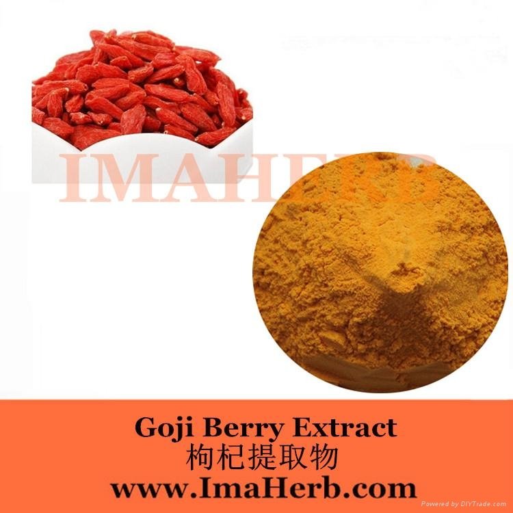 Wolfberry Extract- goji berry extract 5