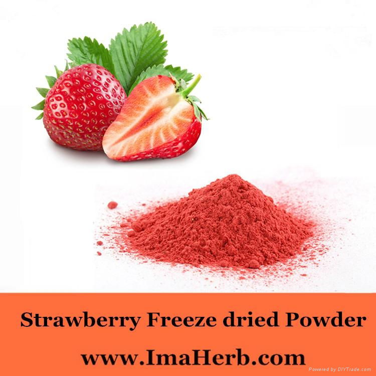pure freeze dried strawberry powder 3