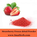 pure freeze dried strawberry powder 3