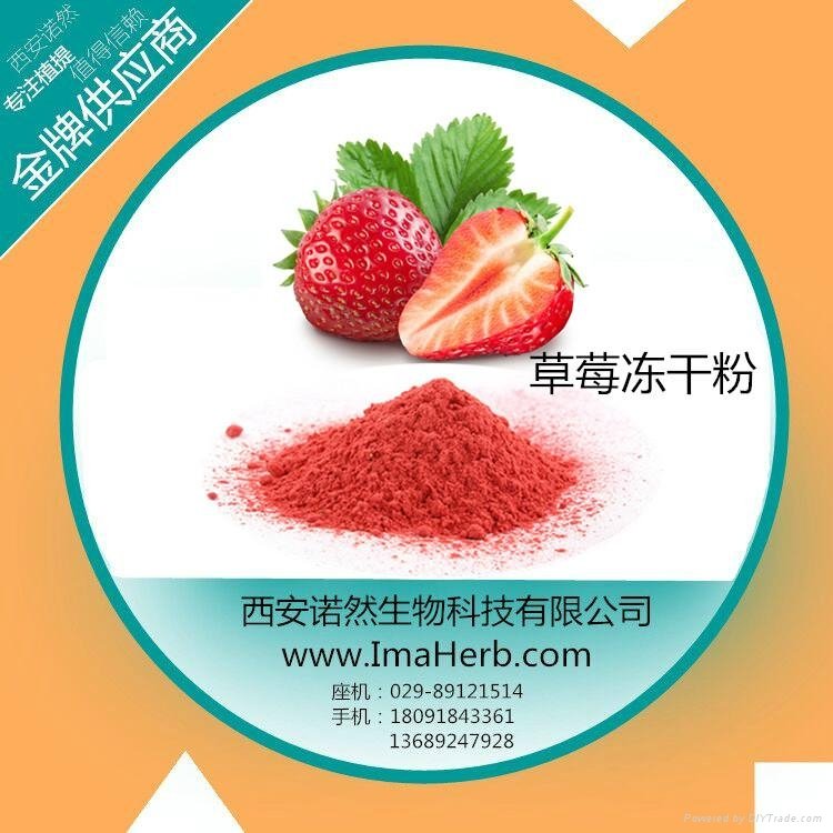 pure freeze dried strawberry powder 4