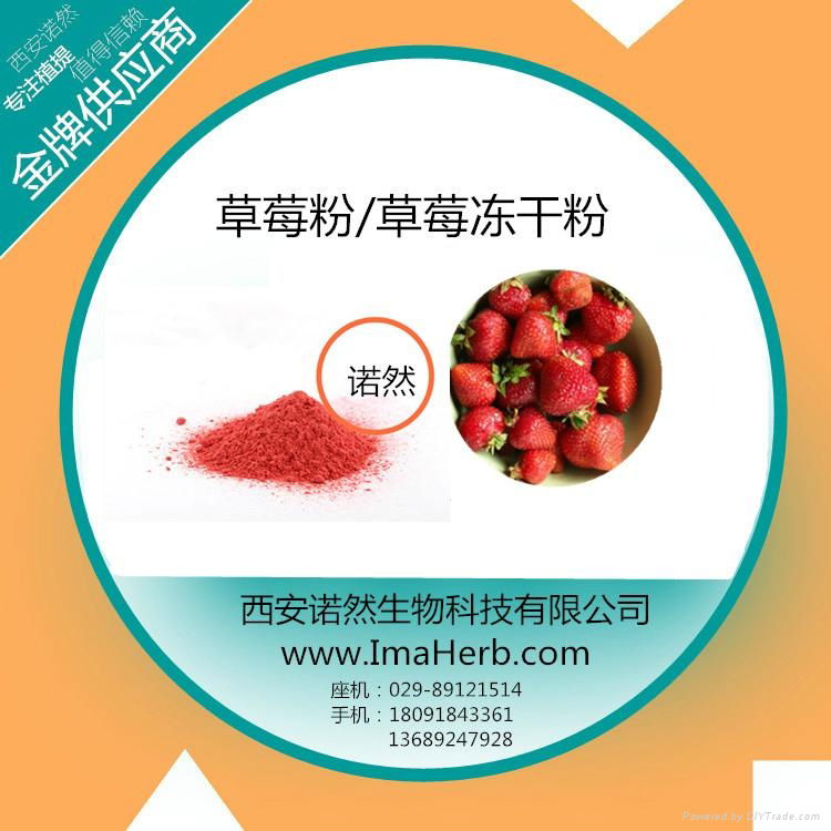 pure freeze dried strawberry powder 5