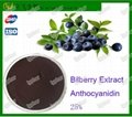 Stocks Supply Bilberry Extract Anthocyanidin 25%