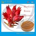 Top Quality Rhodiola Rosea Powder