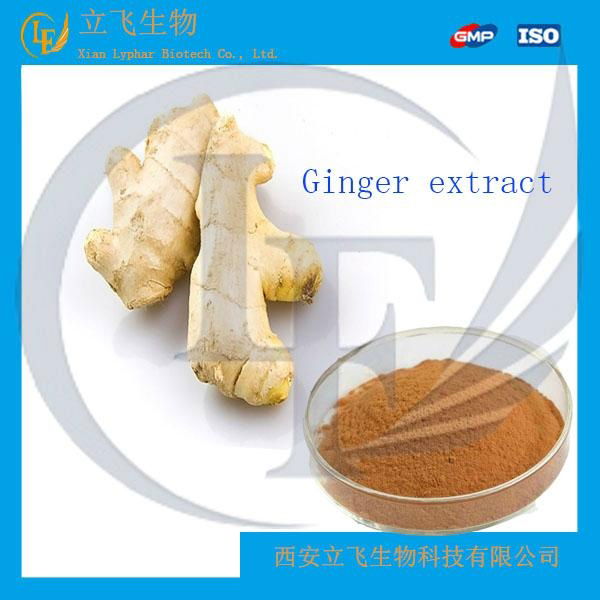 100% Natural and Organic Ginger Extract 