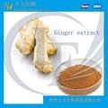 100% Natural and Organic Ginger Extract