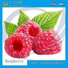 Best Raspberry Ketone Manufacturers 