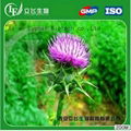 Factory Supply Natural Milk Thistle