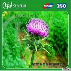 Factory Supply Natural Milk Thistle Extract 