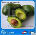 Favorable Price Virgin Avocado Oil 