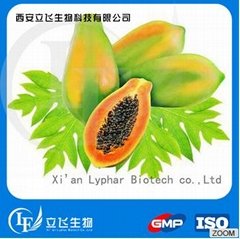 Lyphar Supply Natural Papaya Leaf Extract