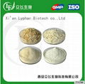 CAS No.:9005-38-3 Best quality sodium alginate 