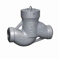 Power plant check valve 1