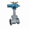 Electric gate valve apply for power station 