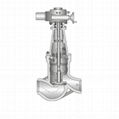 stop check valve apply for power station