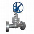 The high pressure stainless steel and cast steel power plant gate valve 