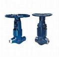 high temperature and high pressure power station globe valve 1