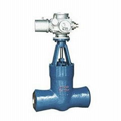 high temperature and high pressure power station gate valve 