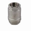 Vertical Check Valve PN40