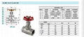 Globe Valve Thread End 200WOG 2