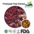 Pricklyash Peel Extract 1