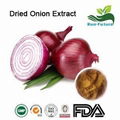 Dried Onion Extract 1