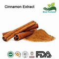 Cinnamon Extract 1