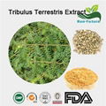 Tribulus Terrestris Extract