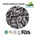 Dried Sunflower Seeds 1