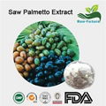 Saw Palmetto Extract