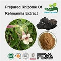 Prepared Rhizome Of Rehmannia Extract