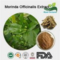 Morinda Officinalis Extract