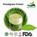 Wheatgrass Extract