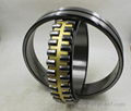 Aligning Roller Bearing